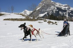 Kandersteg 2011