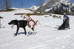 Kandersteg 2011