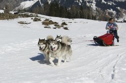 Kandersteg 2011