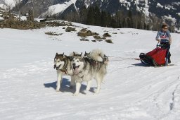 Kandersteg 2011