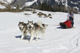 Kandersteg 2011