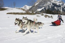 Kandersteg 2011