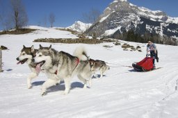 Kandersteg 2011