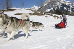 Kandersteg 2011