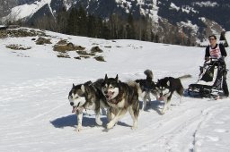 Kandersteg 2011