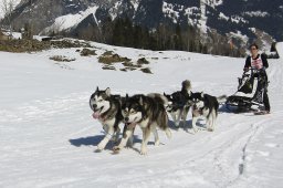 Kandersteg 2011