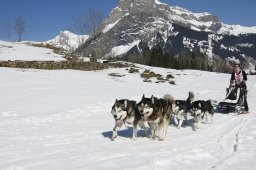 Kandersteg 2011