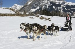 Kandersteg 2011