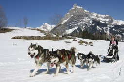 Kandersteg 2011