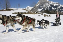 Kandersteg 2011