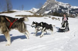 Kandersteg 2011