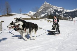 Kandersteg 2011