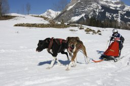 Kandersteg 2011