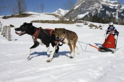 Kandersteg 2011