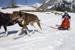 Kandersteg 2011