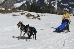 Kandersteg 2011