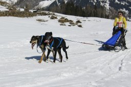 Kandersteg 2011