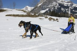 Kandersteg 2011