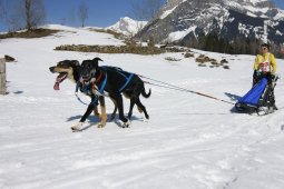 Kandersteg 2011