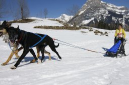 Kandersteg 2011