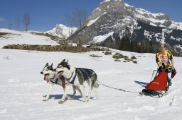 Kandersteg 2011