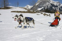 Kandersteg 2011