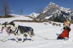 Kandersteg 2011