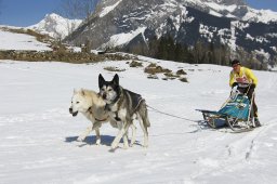 Kandersteg 2011