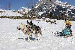 Kandersteg 2011