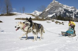 Kandersteg 2011