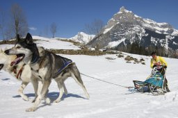 Kandersteg 2011