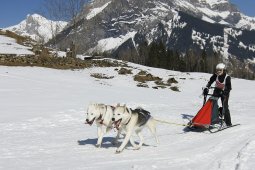 Kandersteg 2011