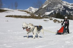 Kandersteg 2011