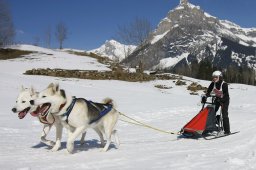 Kandersteg 2011