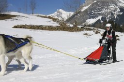 Kandersteg 2011