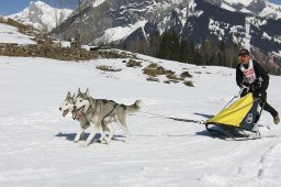 Kandersteg 2011