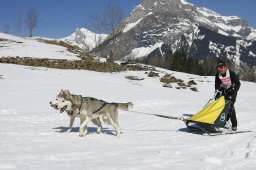 Kandersteg 2011