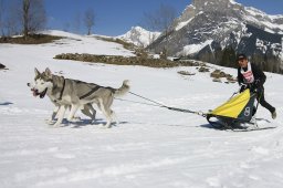 Kandersteg 2011