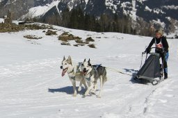 Kandersteg 2011