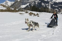 Kandersteg 2011