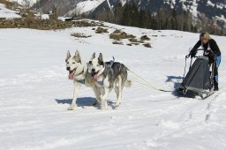 Kandersteg 2011