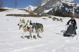 Kandersteg 2011