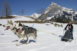 Kandersteg 2011