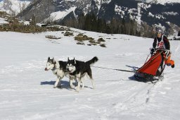 Kandersteg 2011