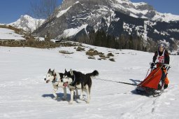 Kandersteg 2011