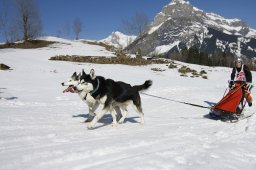 Kandersteg 2011