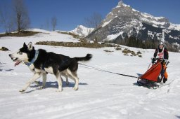 Kandersteg 2011