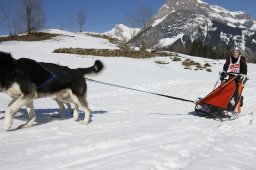 Kandersteg 2011