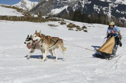 Kandersteg 2011