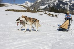 Kandersteg 2011